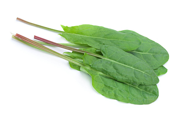 Szczaw warzyw liść na białym tle - Zdjęcie, obraz
