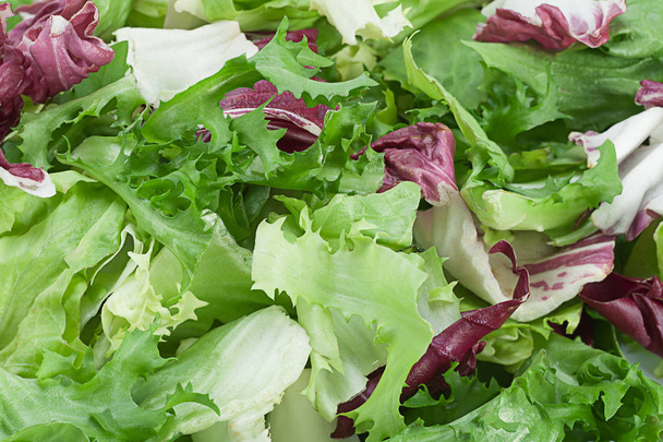 Friss saláta levél szelet háttér - Fotó, kép
