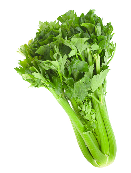 Parní celer na bílém - Fotografie, Obrázek