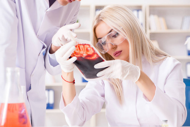 Kobieta lekarz patrząc na próbki krwi w torbie - Zdjęcie, obraz