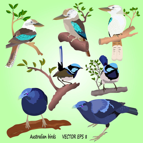分離された緑の背景に現実的なオーストラリアの鳥のセット - ベクター画像