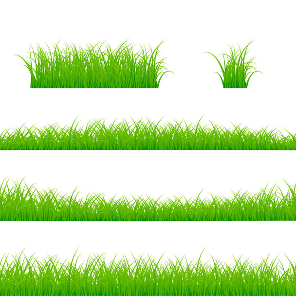 Çim Set komşudur. Çim bitki Panorama. Beyaz arka plan üzerinde izole vektör çizim - Vektör, Görsel