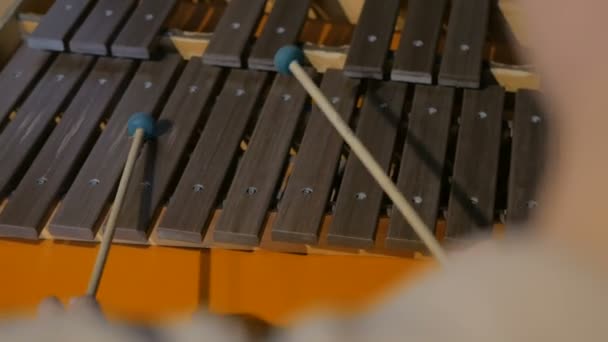 Detailní záběr hudebníka, hrajícího na xylofon - Záběry, video