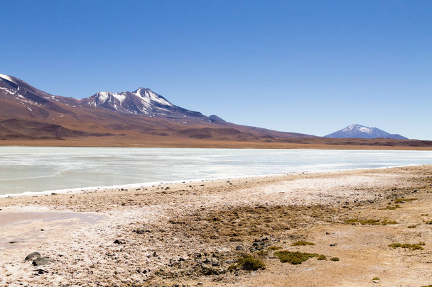 Laguna Hedionda, Bolivia - Фото, зображення