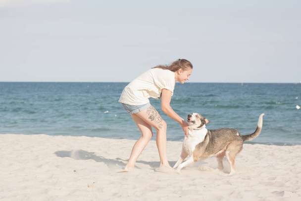 Young woman with dog on the beach in summer sunny day - Foto, immagini