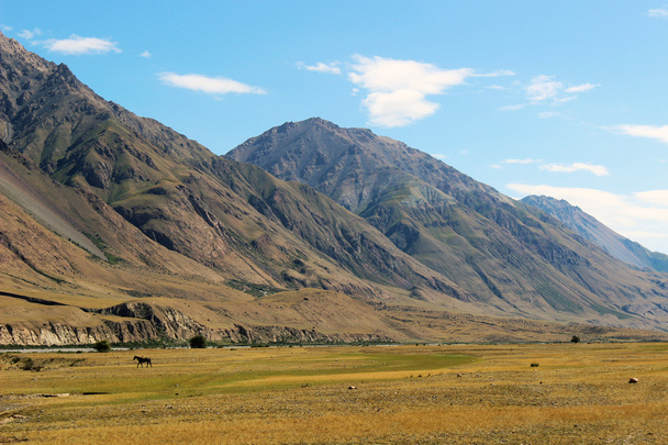 Κιργιζία - κεντρική περιοχή Τιέν σαν - Φωτογραφία, εικόνα