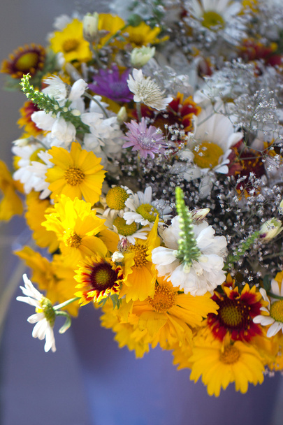 Piękny bukiet dzikich kwiatów - Zdjęcie, obraz
