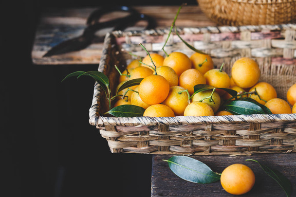 Marian plum fruits-marian mango fruits- Plum mango fruits - 写真・画像