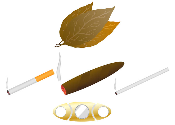 Cigarrillo y cigarro sobre blanco (Tabaco
) - Vector, imagen
