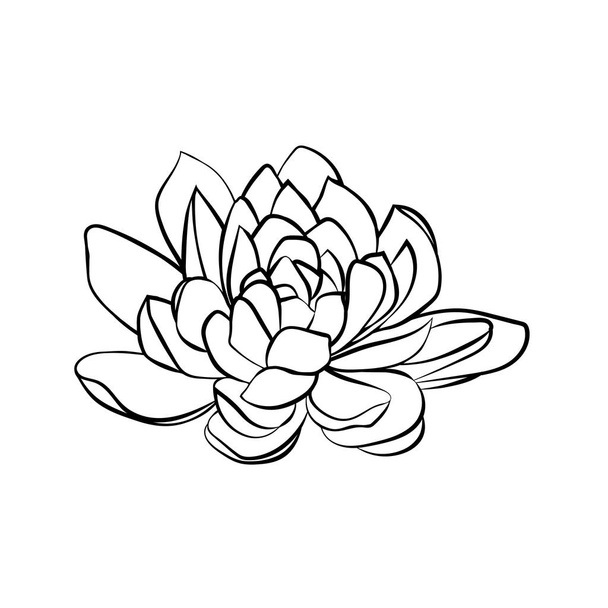 lotus flowers icon - Διάνυσμα, εικόνα