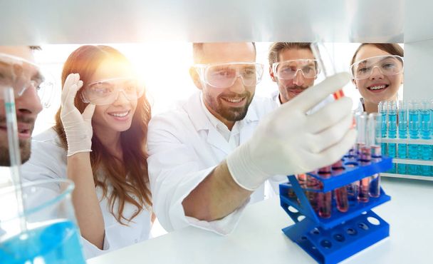 group of scientists and pharmacists working in the laboratory - Foto, Imagen
