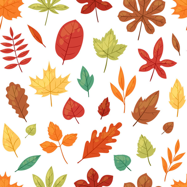 Autumn leaf vector autumnal leaves falling from fallen trees leafed oak and leafy maple or leafing foliage illustration fall of leafage set with leafage isolated seamless pattern background - Вектор,изображение