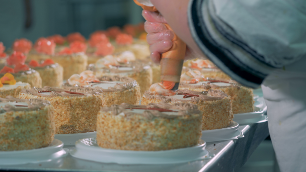 Werknemer versieren van taarten gebruik van de crème in de industriële suikergoed. - Video