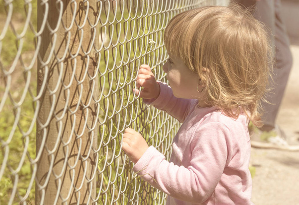 Маленькая девочка держит забор
 - Фото, изображение