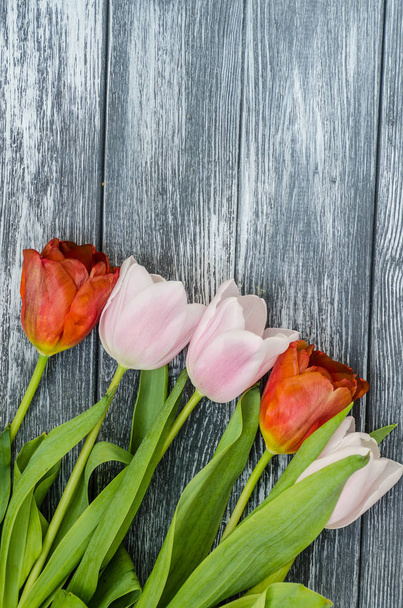 Primavera tulipanes flores cerrar fondo
 - Foto, Imagen