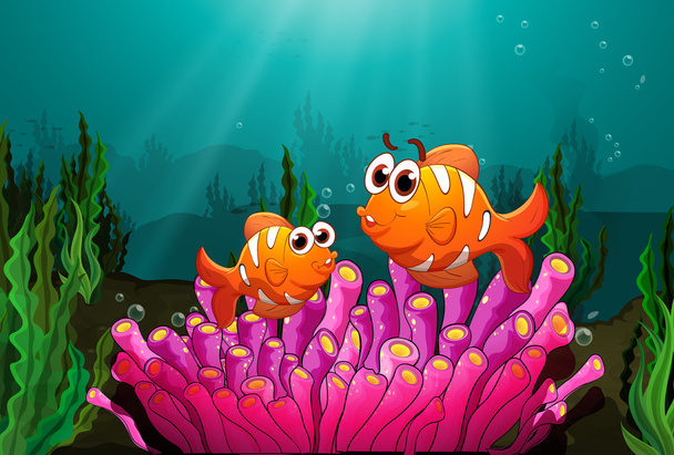 Two fishes above a pink coral - Vector, Image