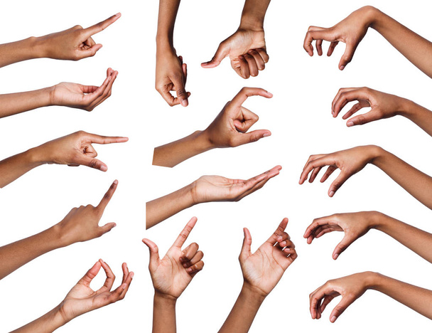 Set of various hand gestures isolated on white - Photo, Image