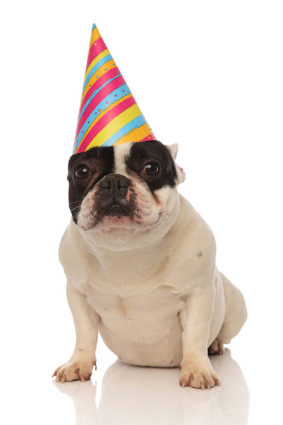 beteg születésnapi francia bulldog várakozás-re a torta - Fotó, kép