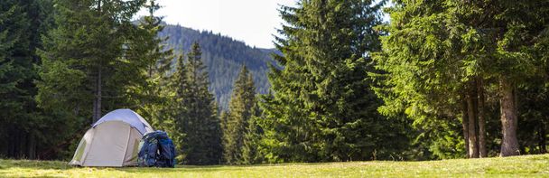 Tourist camp on green meadow with fresh grass in Carpathian moun - Photo, Image