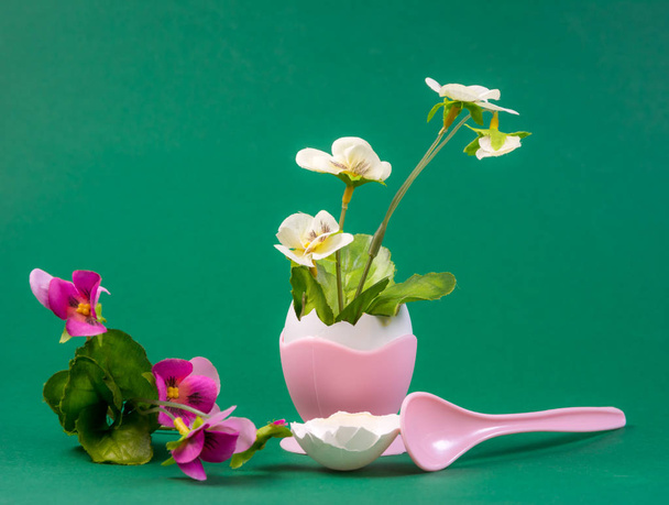 Still life with flower growing out of an eggshell - Photo, Image