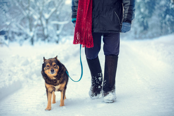 Man with dog on a leash walking on snowy country road in winter - Foto, Bild