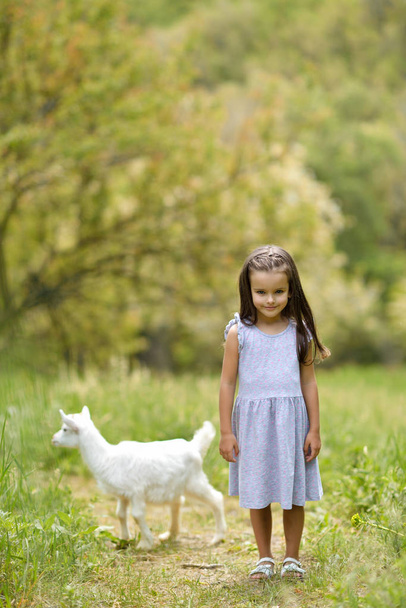 Little girl plays and huhs goatling in country, spring or summer - Photo, Image