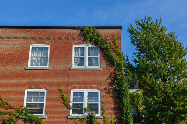 Drogich zabytkowe domy z ogromnymi oknami w Montreal downtown, Kanada. - Zdjęcie, obraz