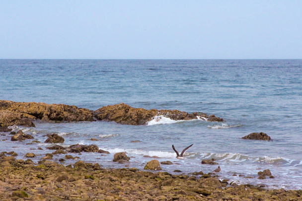 Aiguas Blanques Agua blanca Ibiza beach z turkusową wodą na  - Zdjęcie, obraz