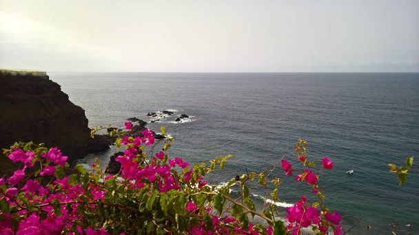 Puerto santiago op het Canarische eiland tenerife - Foto, afbeelding