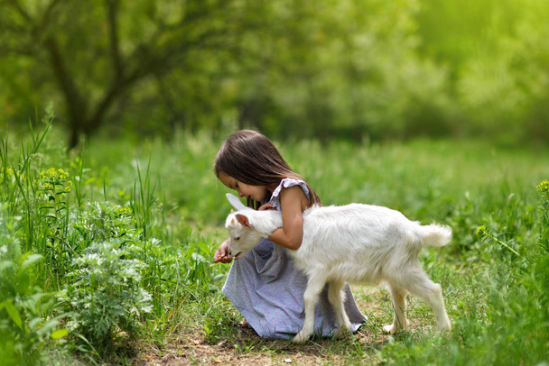 Little girl plays and huhs goatling in country, spring or summer - Фото, зображення