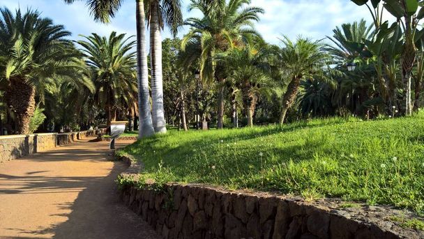 Пуэрто-Сантьяго на канарейном острове Тенерифе
 - Фото, изображение