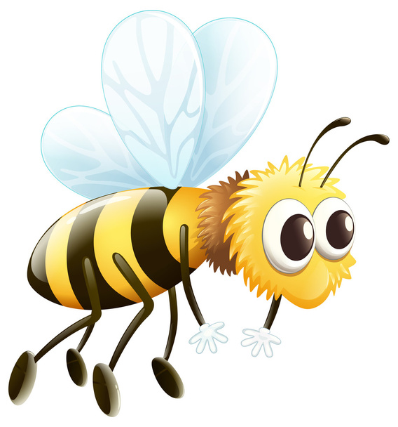 Una abeja
 - Vector, imagen