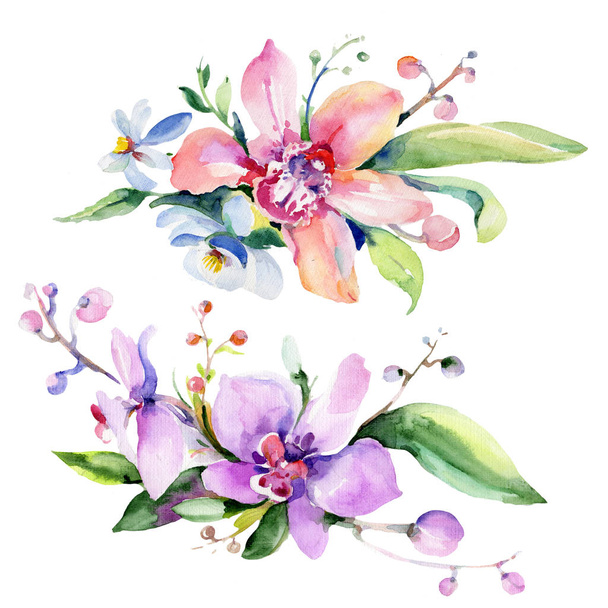 Bouquet flower in a watercolor style isolated. - Photo, image