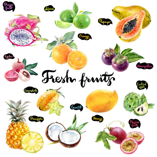 Frutas tropicales acuarela conjunto ilustración
. - Foto, imagen