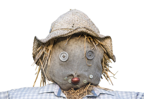 Geïsoleerde Scarecrow hoofd - Foto, afbeelding