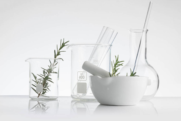 laboratory and research with alternative herb medicine - 写真・画像