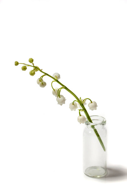 Lily of the valley branch in a glass bottle. - Photo, Image