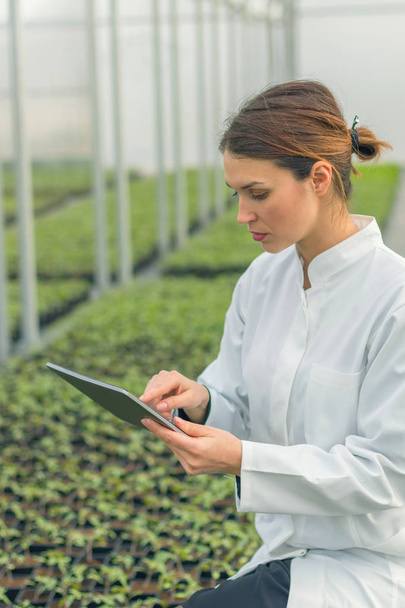 Greenhouse Seedlings Growth. Female Agricultural Engineer using tablet  - Foto, Imagen