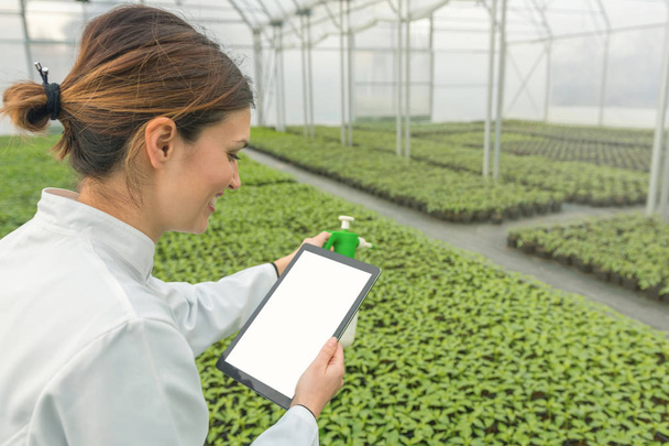 Female Biotechnology engineer tablet greenhouse. Plant seedlings - Foto, Bild