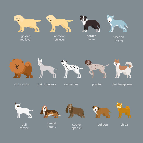 Conjunto de razas de perro, tamaño grande y mediano
 - Vector, imagen
