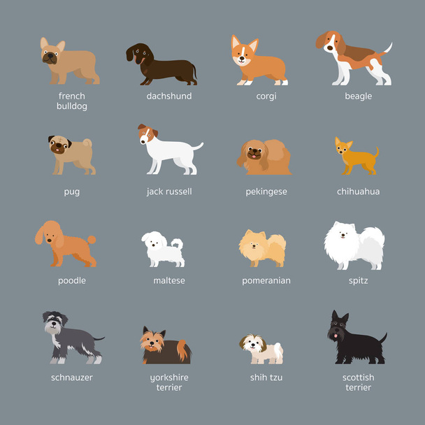 Комплект пород собак, малых и средних размеров
 - Вектор,изображение
