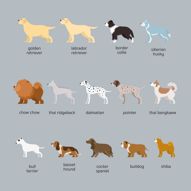 Комплект пород собак, больших и средних размеров
 - Вектор,изображение