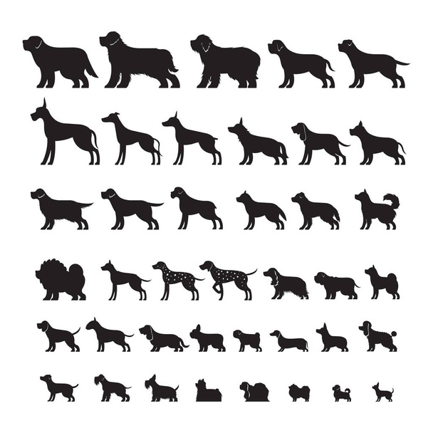 Dog Breeds, Silhouette Set - Vector, Image