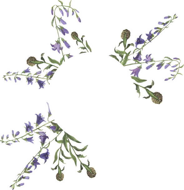 vectorillustratie van mooie wild paarse bell-bloemen naadloze patroon op witte achtergrond - Vector, afbeelding