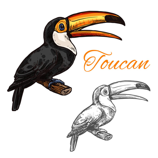 Toucan vector schizzo selvaggio esotico uccello icona
 - Vettoriali, immagini