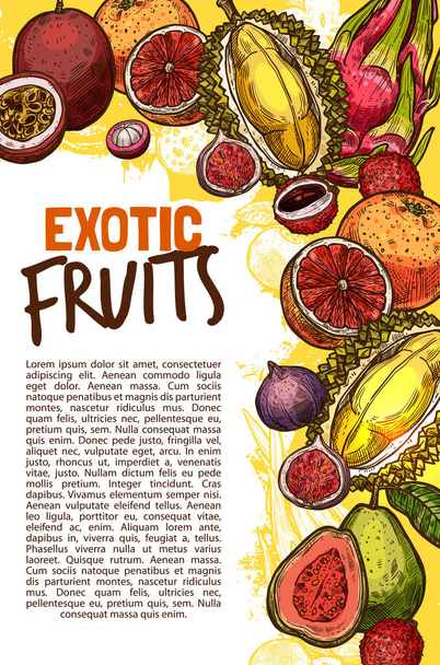 Vector fruit winkel schets poster van exotische vruchten - Vector, afbeelding