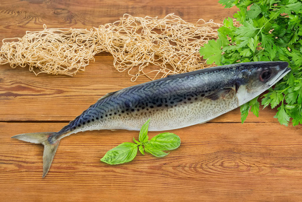 Atlantic chub mackerel on a wooden surface with fishing net  - Photo, Image