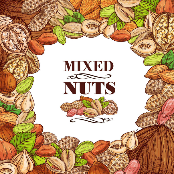 Vektor plakát z ořechů a semen ovoce - Vektor, obrázek