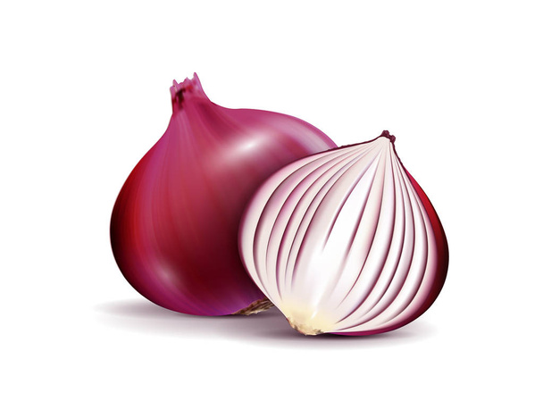 Vector Fresh Whole and Sliced Red Onion Bulbs Close up Isolated on White Background - Vector, Image