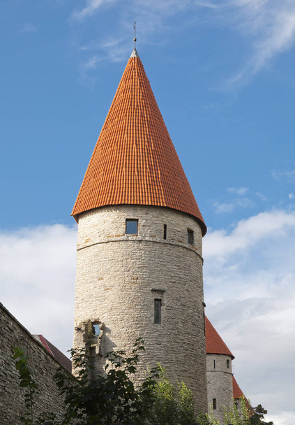 Medieval tower in Tallinn - Fotografie, Obrázek